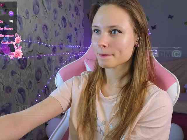 Armura webcam