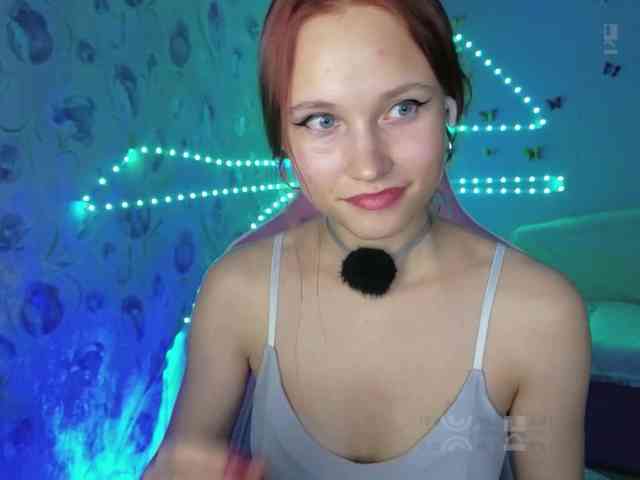 Armura webcam