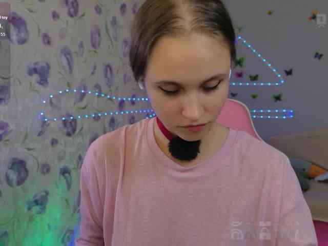 Armura webcam