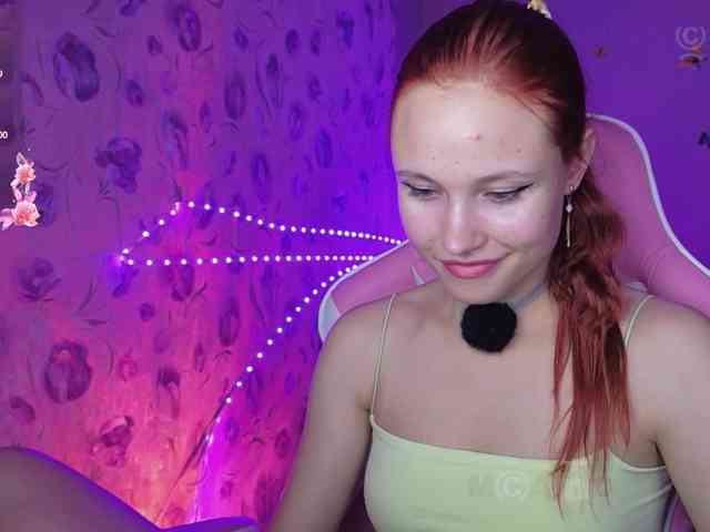 Armura webcam