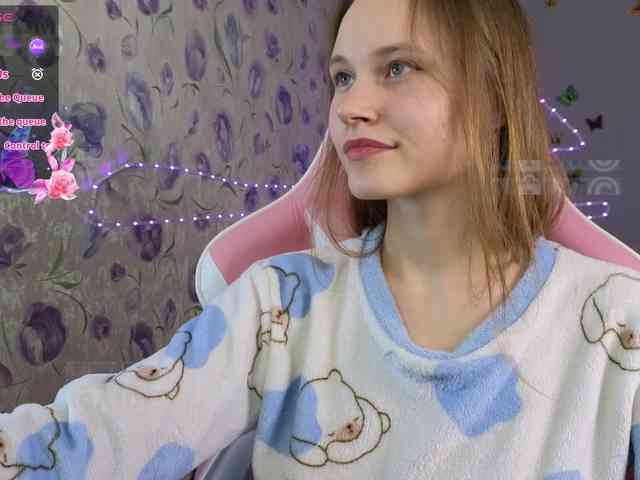 Armura webcam