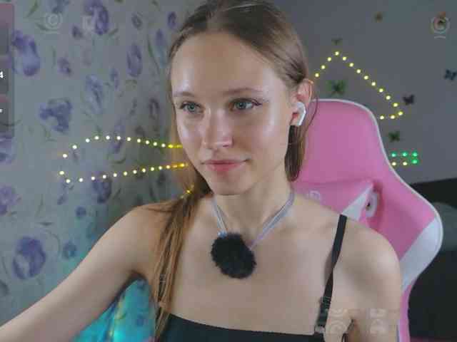 Armura webcam