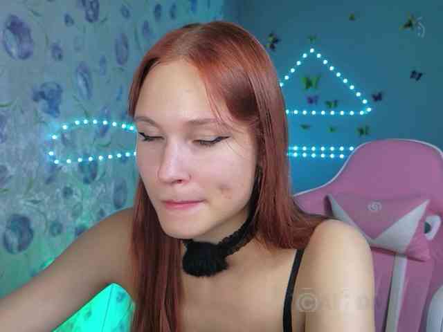 Armura webcam