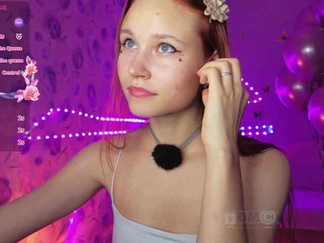 Armura webcam