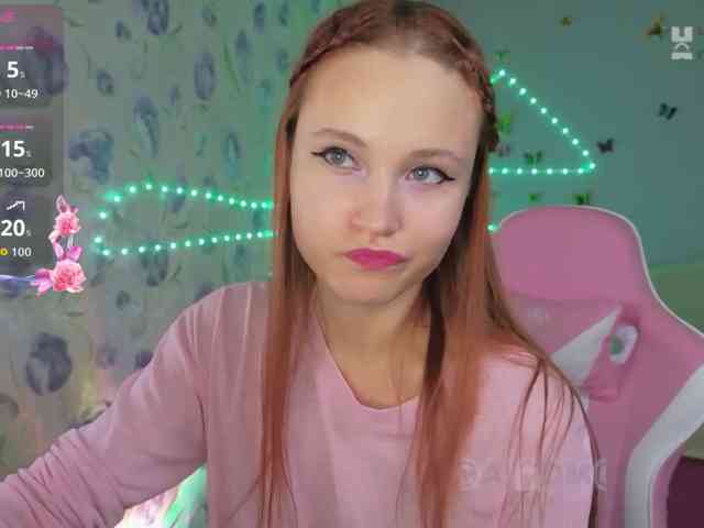 Armura webcam
