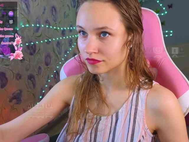 Armura webcam