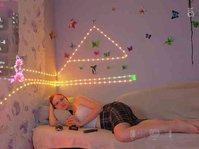 Armura webcam