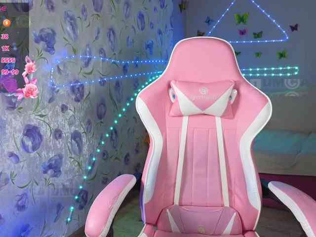 Armura webcam