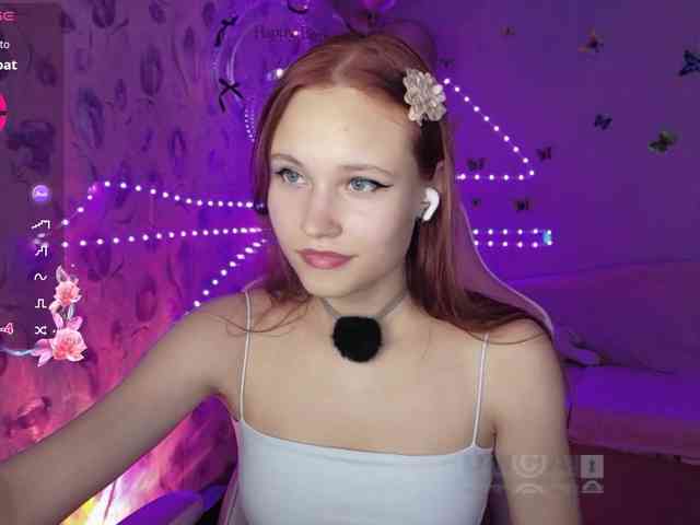 Armura webcam
