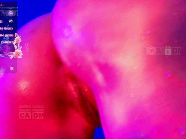 Armura webcam