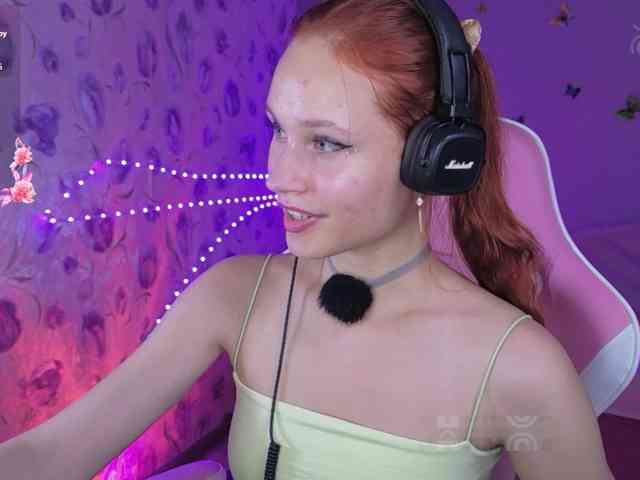 Armura webcam