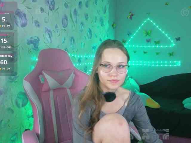 Armura webcam