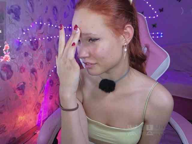 Armura webcam