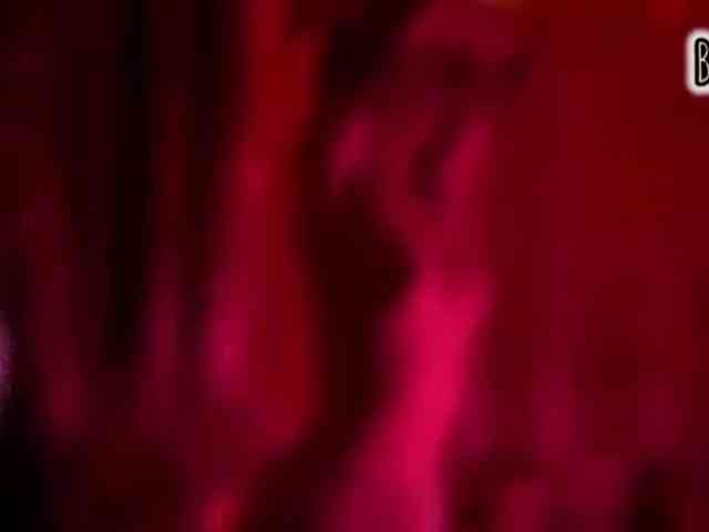 Armura webcam