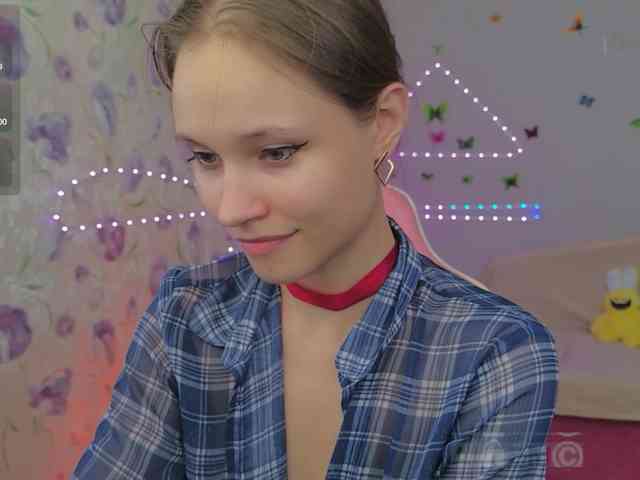 Armura webcam