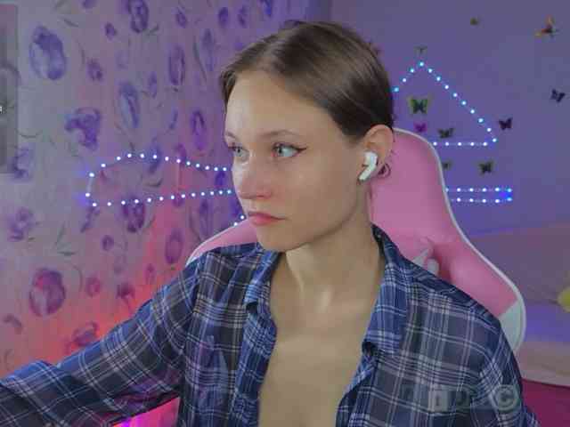 Armura webcam