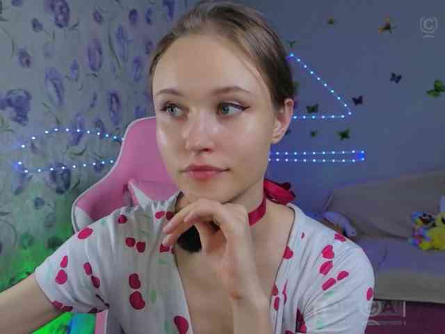 Armura webcam
