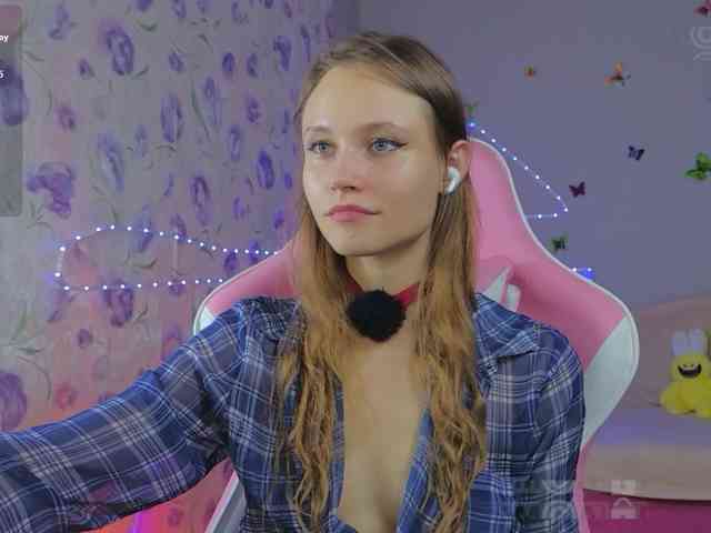 Armura webcam