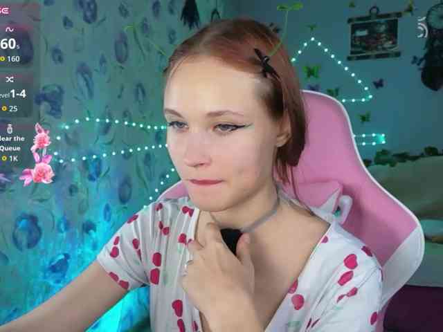 Armura webcam