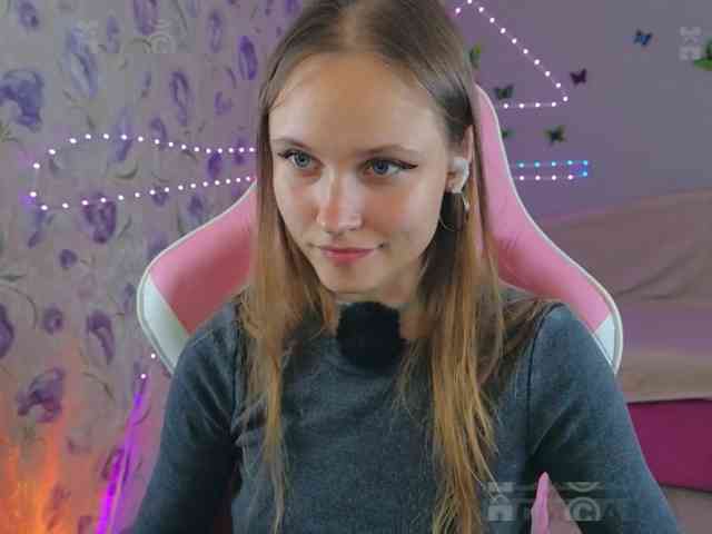 Armura webcam