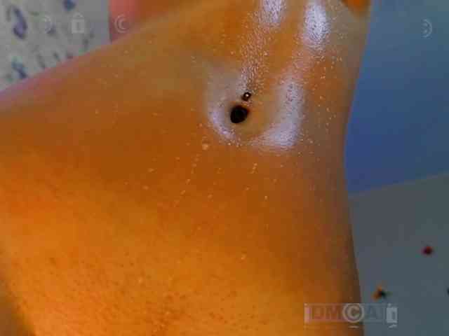 Armura webcam