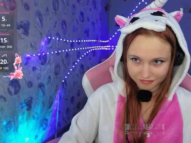 Armura webcam