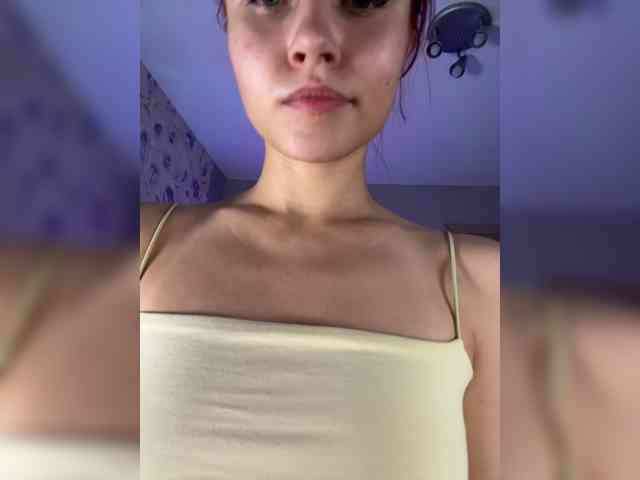 Armura webcam