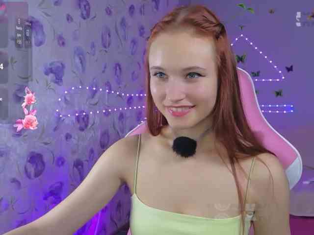 Armura webcam