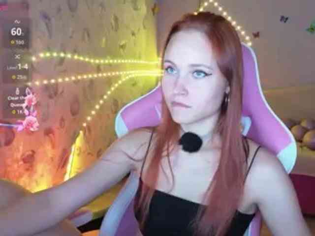 Armura webcam