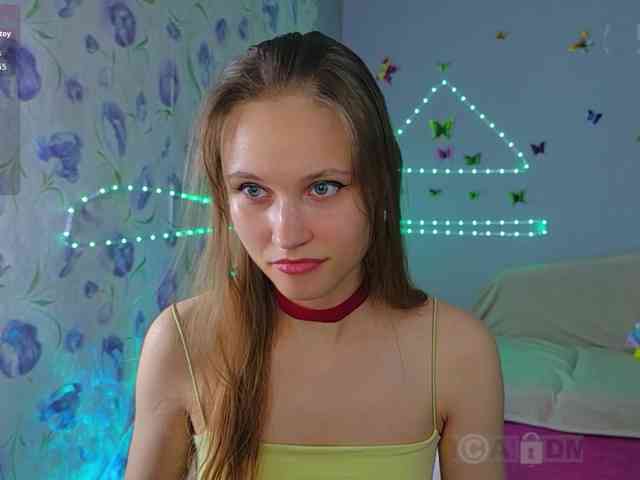 Armura webcam