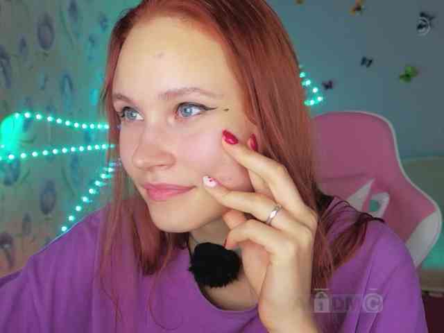 Armura webcam