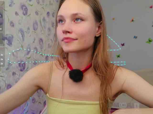 Armura webcam