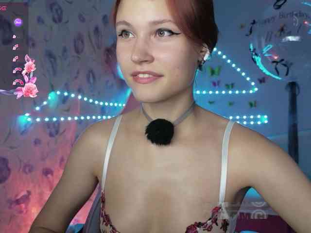 Armura webcam