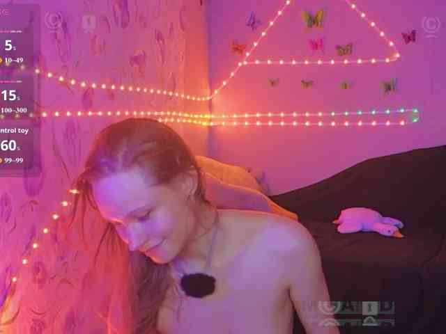 Armura webcam