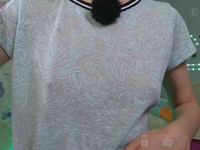 Armura webcam