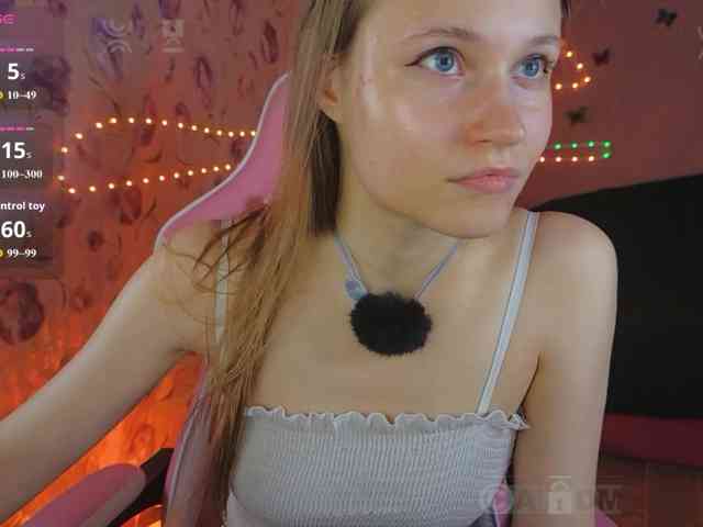 Armura webcam