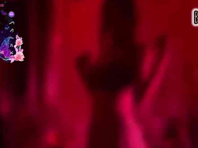 Armura webcam