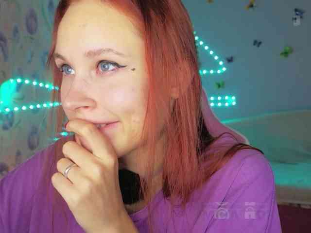 Armura webcam