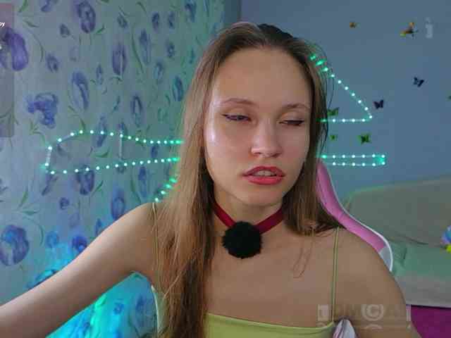 Armura webcam