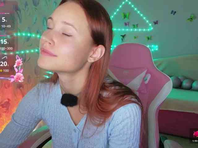 Armura webcam