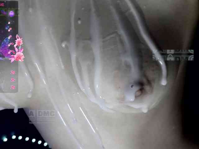 Armura webcam