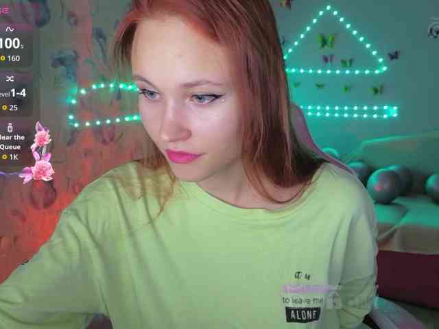 Armura webcam