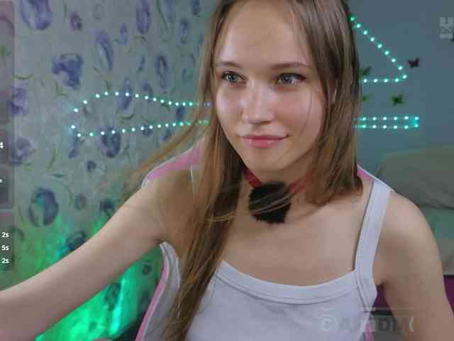 Armura webcam