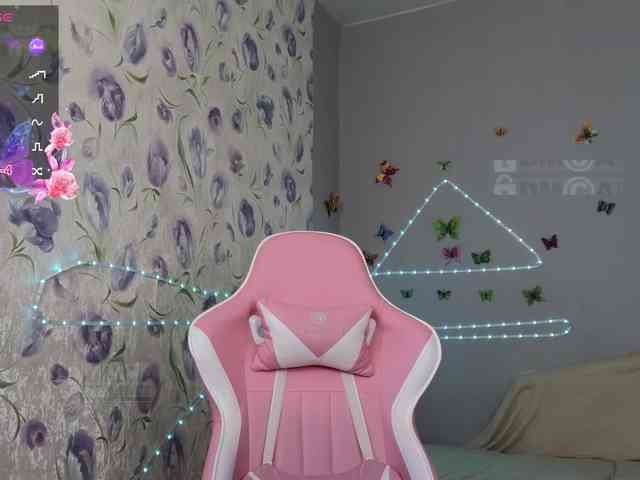 Armura webcam
