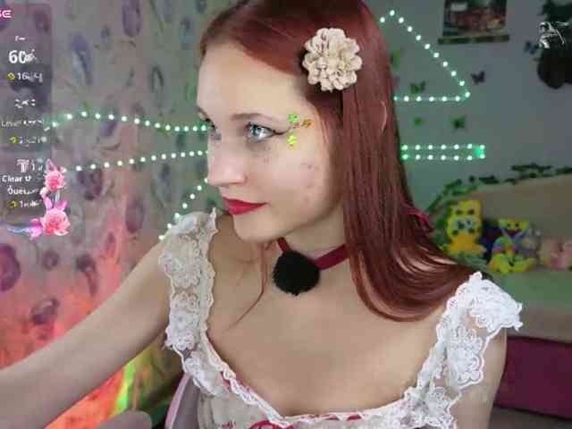 Armura webcam
