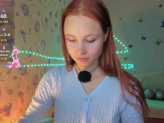 Armura webcam