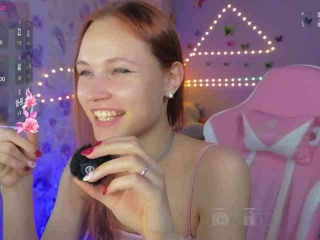 Armura webcam