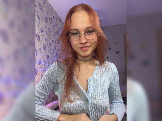 Armura webcam