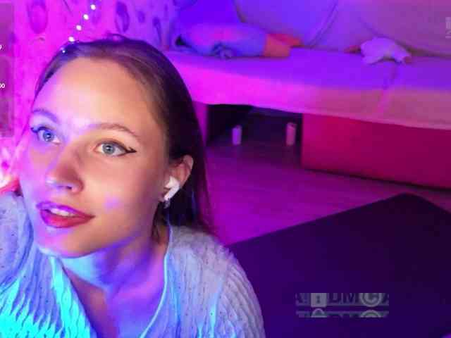 Armura webcam