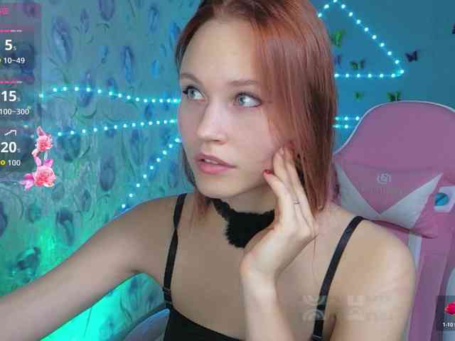 Armura webcam